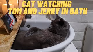 CAT WATCHING TOM AND JERRY IN BATH