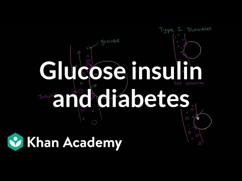 Journal cukorbetegség kezelése