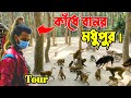 মধুপুর বানর দেখতে একদিন সে কি কান্ড কর