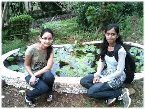 friends collection nandini .wmv