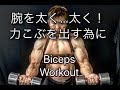 力こぶを出すための腕づくり[Biceps Workout]