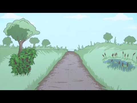 BEOBACHTEN, VERGLEICHEN, PROTOKOLLIEREN | METHODEN | Biologie | Biologie - eine Naturwissenschaft