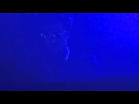 Gesaffelstein @ Maison Mercer, Toronto