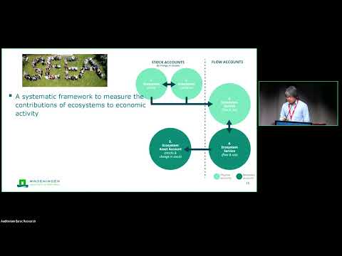 Arnan Azara: The System of Environmental Economic Accounting: connecting spatial data and users