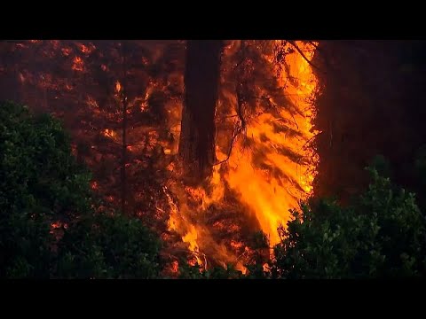 Fresh wildfires force evacuations in northern Spain