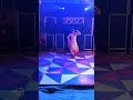 Ital Pital Rajsthani Song Our Culture Our Heritage