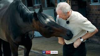 Legend! 🖤💚 | Altior is loving life at home with Mick Fitzgerald | National Racehorse Week