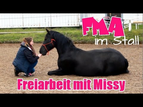 Freiarbeit mit Missy // FMA im Stall
