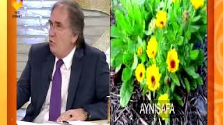 Faydalı Bilgiler 1 - TRT DİYANET