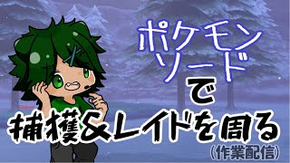 【ポケモン剣】アキトが裏で普段やっていることを垂れ流します【Vtuber】
