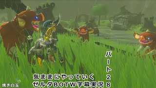 気ままにやっていくゼルダBOTW　Part28【ゼルダの伝説　ブレス オブ ザ ワイルド（Switch版）】【字幕実況】