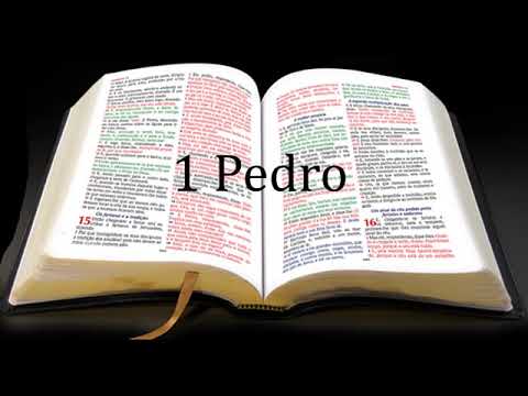 1 Pedro completo ( Bíblia em Áudio)