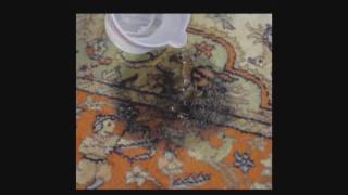 Azar Fine Rugs area rug cleaning examples