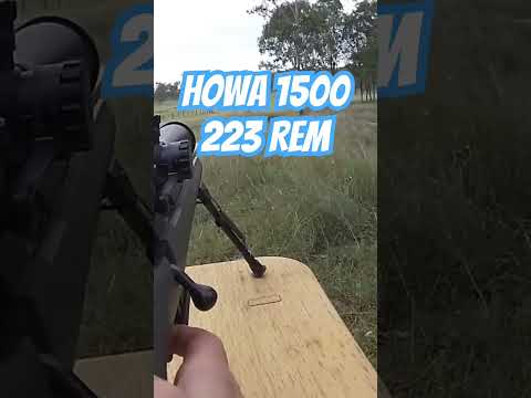 Howa M1100 22lr, Full Review!