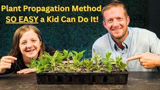 Plant Propagation Made EASY | 8 Cuttings ANYONE Can Grow at Home