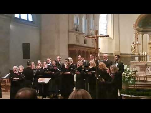 S. Mokranjac: Svjat, Svjat. Chor Singidunum, Dirigent Marko Nešić