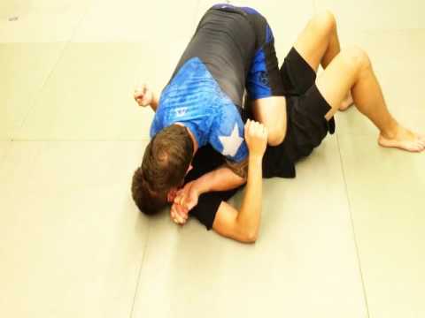 berserker Jiu Jitsu: gracie jiu jitsu for mma with pepe