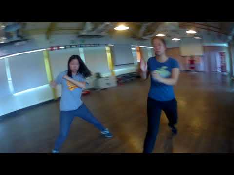 Warfox Bagua: Water Section Testing