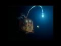 Closing To Finding Nemo 2003 VHS