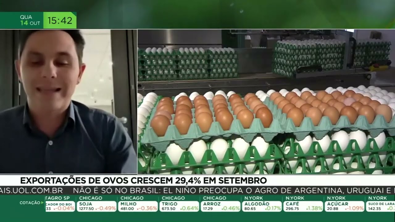 Exportações de ovos crescem 24,9% em setembro