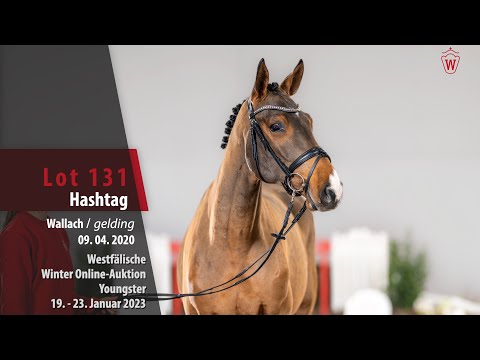 Winter Online-Auktion Lot 131 Hashtag Wallach v. Hickstead Blue - Carrico