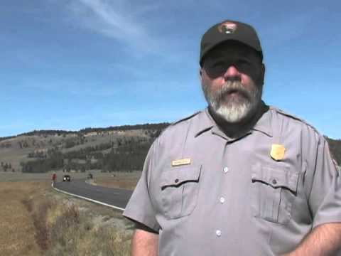 Bicycling in Yellowstone