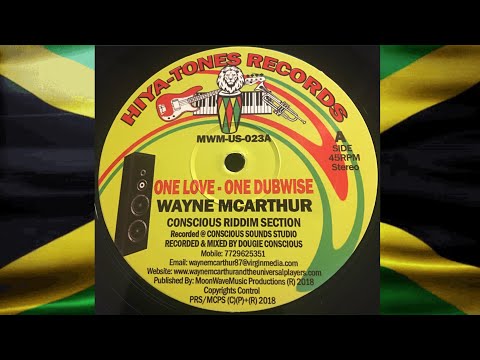 JA 63rd Independence 2025! 🇯🇲 | One Love/One Dubwise - Wayne McArthur/Conscious Riddim Section