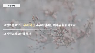 [주일예배] 요한복음 #11 : 우리 대신 나무에 달리신 예수님을 바라보라
