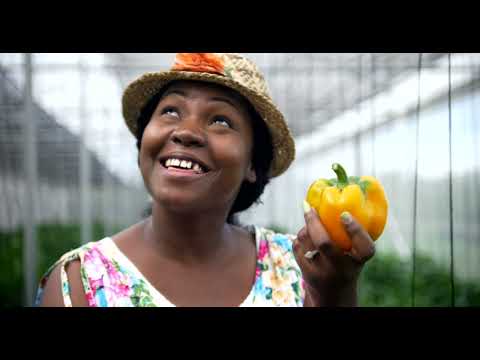 God Yu Nuh Easy by Junior Tucker