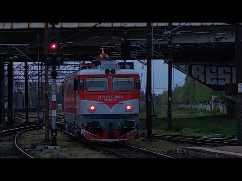 Delfinul 888 izolat spre Depoul București Calatori