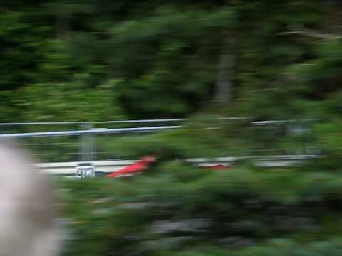 Bergrennen Mickhausen 2009