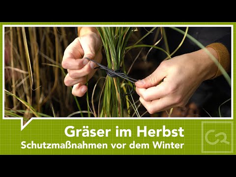 Graeser zusammenbinden im Herbst – Schutzmaßnahmen vor dem Winter