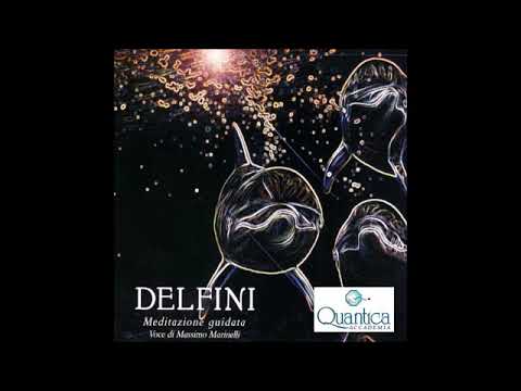 Meditazione guidata del dottor Massimo Marinelli - DELFINI