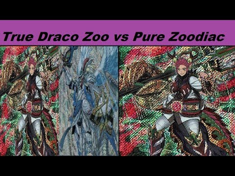 Sneak Peak Finals True Draco Zoo vs Pure Zoo