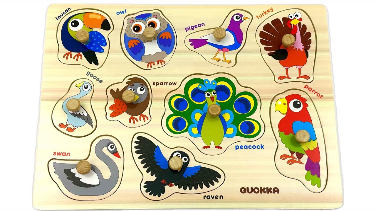 Let's learn About Birds with Activity Puzzle | Best Preschool Toddler Fun Toy Learning Video