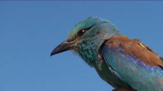 TERMÉSZETVÉDELMI KÖRKÉP