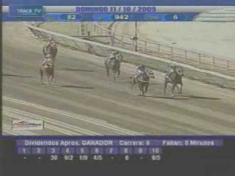 Resumen domingo 11 de Octubre La Rinconada