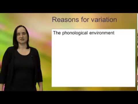 Morphemes and allomorphs