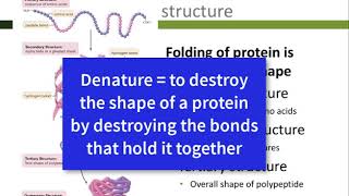 macromolecules