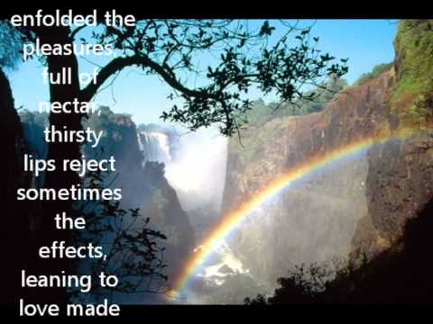 THE POISONOUS FLOWER : by shantanu sanyal