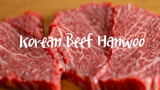 100가지의 완벽한 맛!! Korean Beef Hanwoo