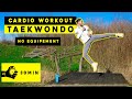 30 Minutes Taekwondo CARDIO Workout No Equipement