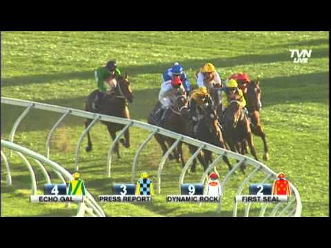 2014 Coolmore Flight Stakes - First Seal