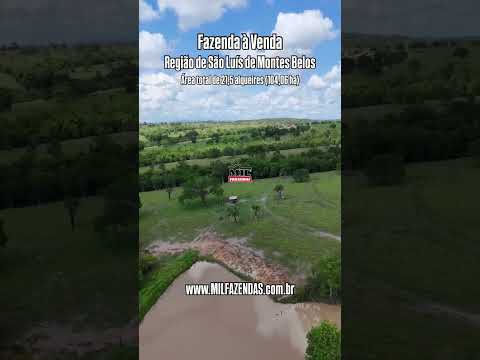 Fazenda à Venda – Sanclerlândia-GO | Região de São Luís de Montes Belos #fazendaavenda #agro