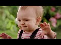 Nestle Gerber Alfabet Smaków