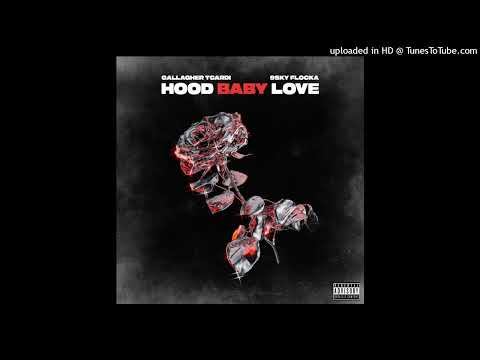 [RMX] Gallagher, Ski - HOODBABYLOVE (Drums by GR Made This)