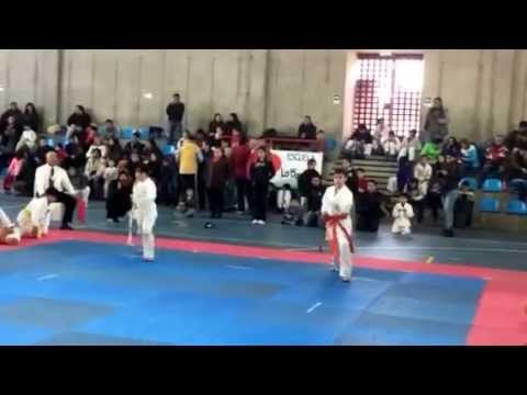 Campeonato Nacional de Apertura Karate JKA Chile Benjamín Manns