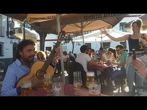 El chipiron en la terraza los caracoles la morita