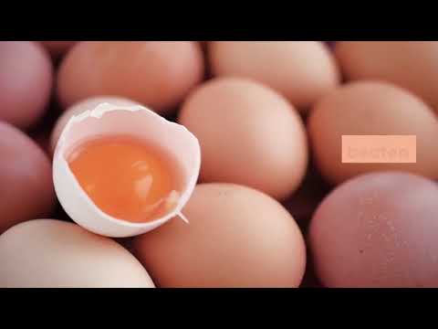 How To Make Libum. |DadyKnowS|