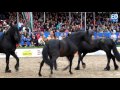 Frédéric Pignon op Horse Event